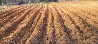 한성님의 자유주제 · 자유게시판 작성글 사진