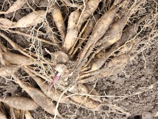 이창신님의 자유주제 · 자유게시판 작성글 사진