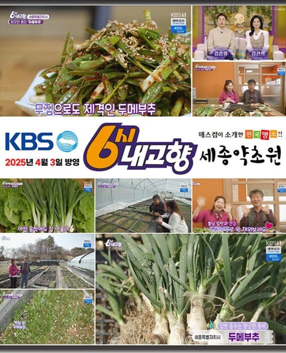 약초원 김종군님의 장터 판매 상품 [두메부추 종근.모종 판매] 첨부 사진