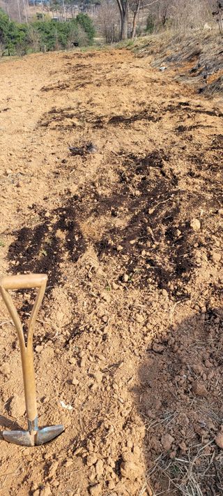 한성님의 자유주제 · 자유게시판 작성글 사진