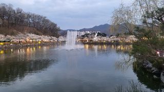 낙엽교목류22168님의 자유주제 · 사진전 작성글 사진