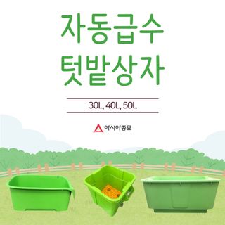 아시아종묘님의 자유주제 · 자유게시판 작성글 사진