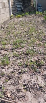 팜모닝 자유주제·자유게시판 게시글 이미지