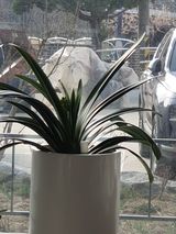 팜모닝 자유주제·자유게시판 게시글 이미지