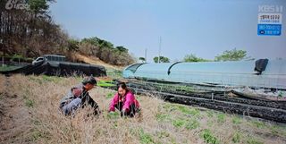 약초원 김종군님의 자유주제 · 자유게시판 작성글 사진