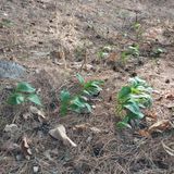 팜모닝 자유주제·자유게시판 게시글 이미지