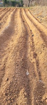 팜모닝 자유주제·자유게시판 게시글 이미지