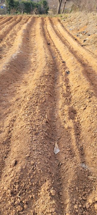 한성님의 자유주제 · 자유게시판 작성글 사진