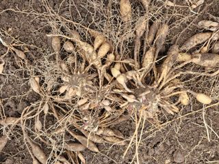 이창신님의 자유주제 · 자유게시판 작성글 사진