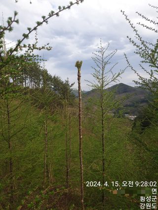 복숭아14303님의 자유주제 · 자유게시판 작성글 사진