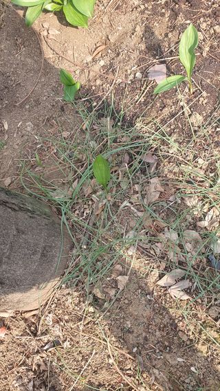 김재량 가을이야.님의 자유주제 · 자유게시판 작성글 사진