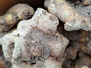 초원에빛님의 기타작물 · 자유게시판 작성글 사진