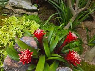 강원사랑인님의 자유주제 · 자유게시판 작성글 사진