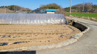 아로니아체리농부유튜님의 자유주제 · 자유게시판 작성글 사진