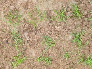 김양석님의 자유주제 · 자유게시판 작성글 사진