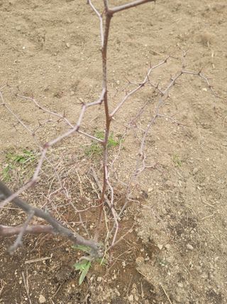 리얼팜님의 자유주제 · 자유게시판 작성글 사진