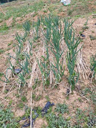 이연종님의 자유주제 · 자유게시판 작성글 사진