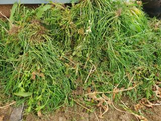 김양석님의 자유주제 · 자유게시판 작성글 사진