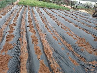 나누고싶어서님의 자유주제 · 자유게시판 작성글 사진