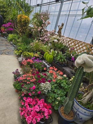 강원사랑인님의 자유주제 · 자유게시판 작성글 사진