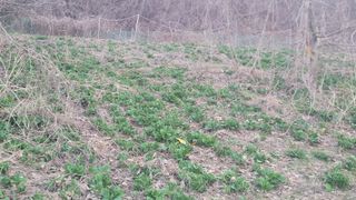 여우내 이순홍님의 작성글 사진