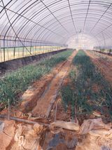 팜모닝 자유주제·자유게시판 게시글 이미지