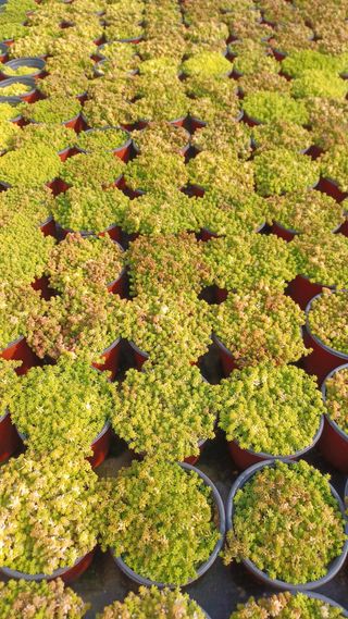 팜모닝회원 김순달 님의 자유주제 · 자유게시판 작성글 사진