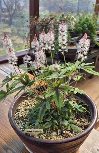 달맛햇복숭아농원님의 자유주제 · 자유게시판 작성글 사진