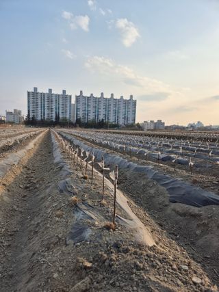 우리농원님의 자유주제 · 자유게시판 작성글 사진