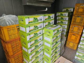 김시헌 님의 자유주제 · 자유게시판 작성글 사진