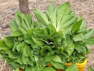 김시헌 님의 자유주제 · 자유게시판 작성글 사진