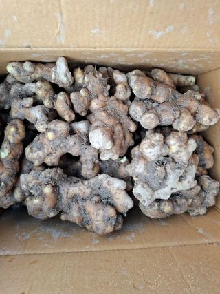 초원에빛님의 기타작물 · 자유게시판 작성글 사진