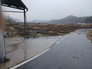 알 수 없음님의 자유주제 · 자유게시판 작성글 사진