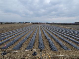 우리농원님의 자유주제 · 자유게시판 작성글 사진