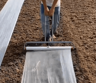 다이쏘(권자영)님의 작성글 사진