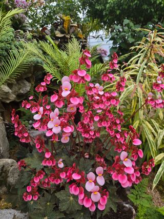 강원사랑인님의 자유주제 · 자유게시판 작성글 사진