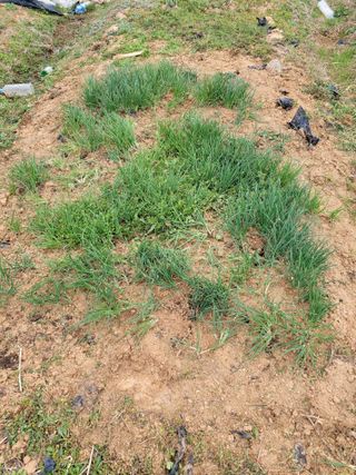 이연종님의 자유주제 · 자유게시판 작성글 사진