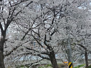 백용기님의 자유주제 · 자유게시판 작성글 사진