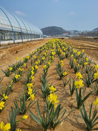 팜모닝회원 김순달 님의 자유주제 · 자유게시판 작성글 사진