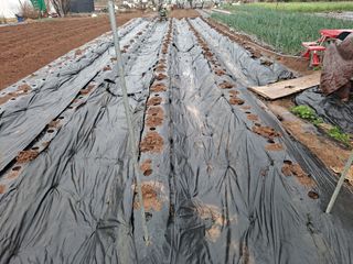 나누고싶어서님의 자유주제 · 자유게시판 작성글 사진