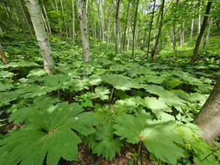 김시헌 님의 자유주제 · 자유게시판 작성글 사진
