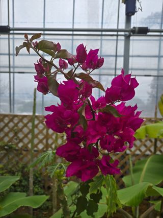 강원사랑인님의 자유주제 · 자유게시판 작성글 사진