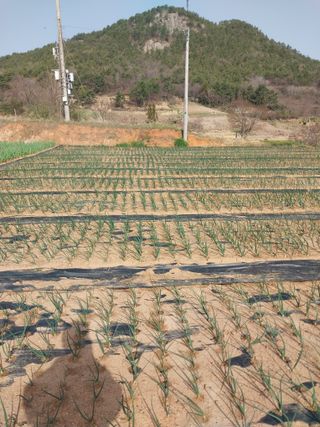 순덕님의 자유주제 · 자유게시판 작성글 사진
