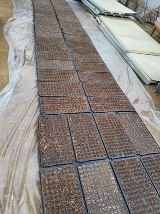 이연화님의 묘목 추천해요 · 참여글 작성글 사진