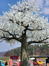 팜모닝 자유주제·자유게시판 게시글 이미지