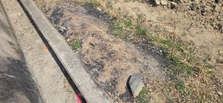 박성준님의 자유주제 · 자유게시판 작성글 사진