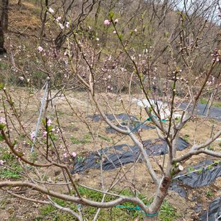 양배추21889님의 자유주제 · 건의해요 작성글 사진