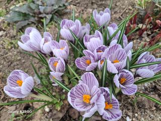 권순익님의 자유주제 · 자유게시판 작성글 사진