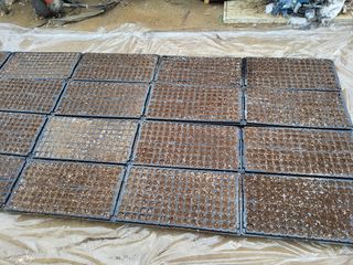 이연화님의 묘목 추천해요 · 참여글 작성글 사진