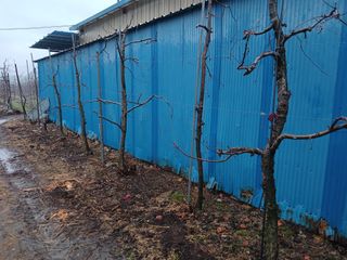 알 수 없음님의 자유주제 · 자유게시판 작성글 사진